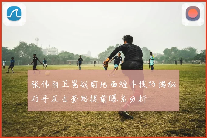 张伟丽卫冕战前地面缠斗技巧揭秘对手反击套路提前曝光分析